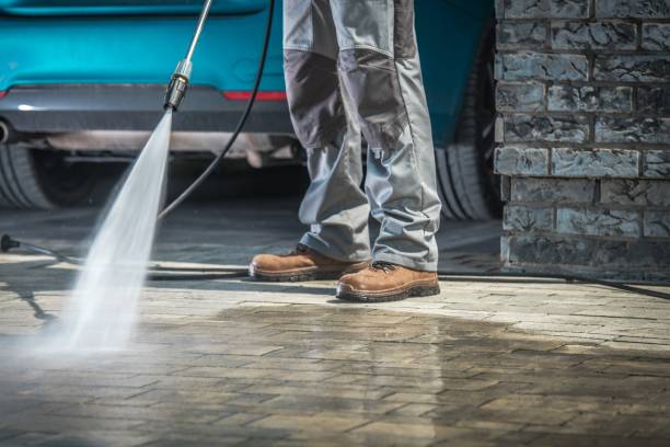 Best Soft Washing  in Danville, AR