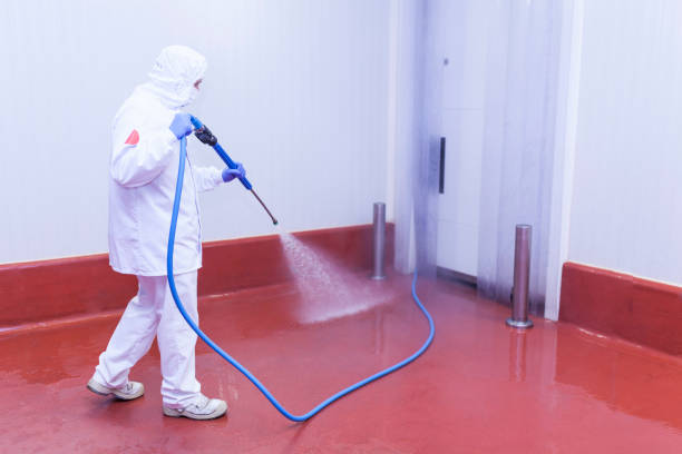 Paint Preparation in Danville, AR