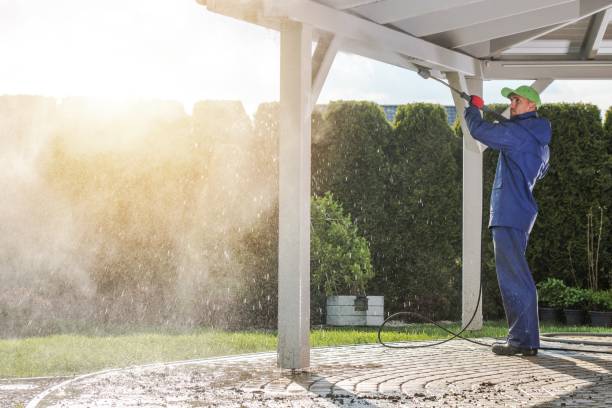 Best Rust Removal  in Danville, AR