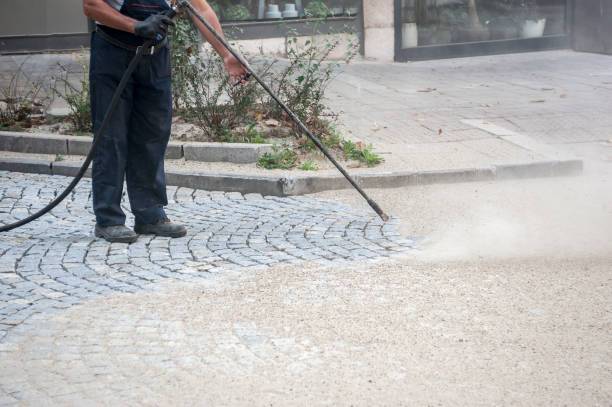 Best Pre-Holiday Cleaning  in Danville, AR